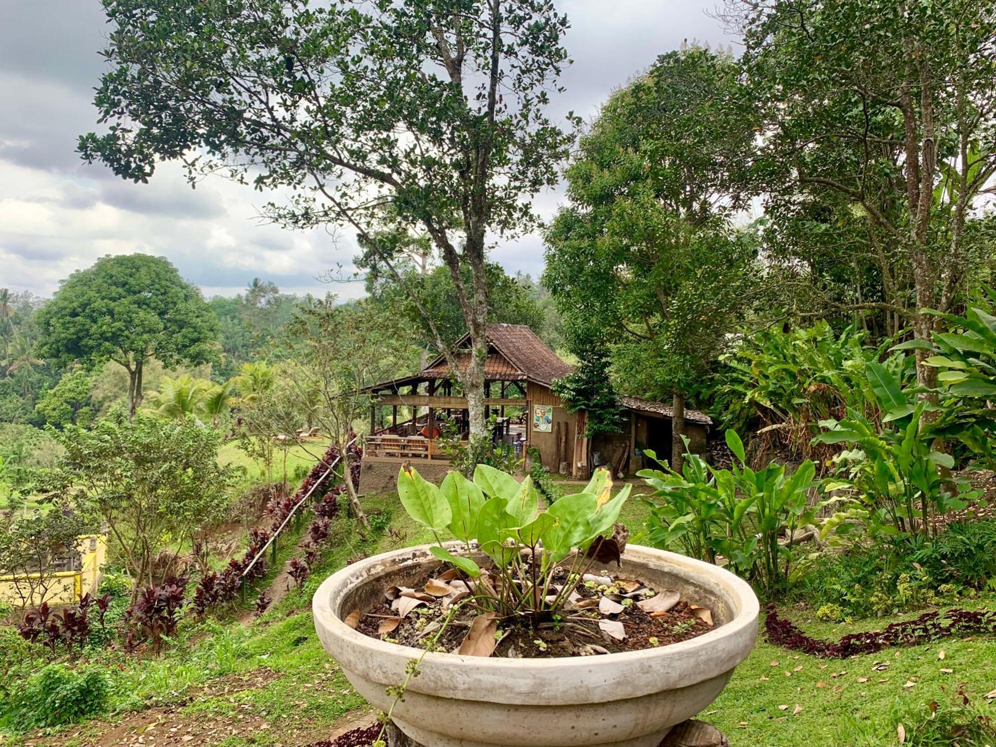 Sang Tirta Resort Penebel Buitenkant foto