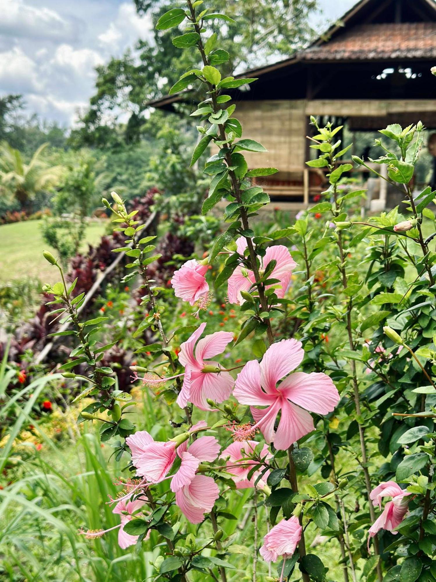Sang Tirta Resort Penebel Buitenkant foto